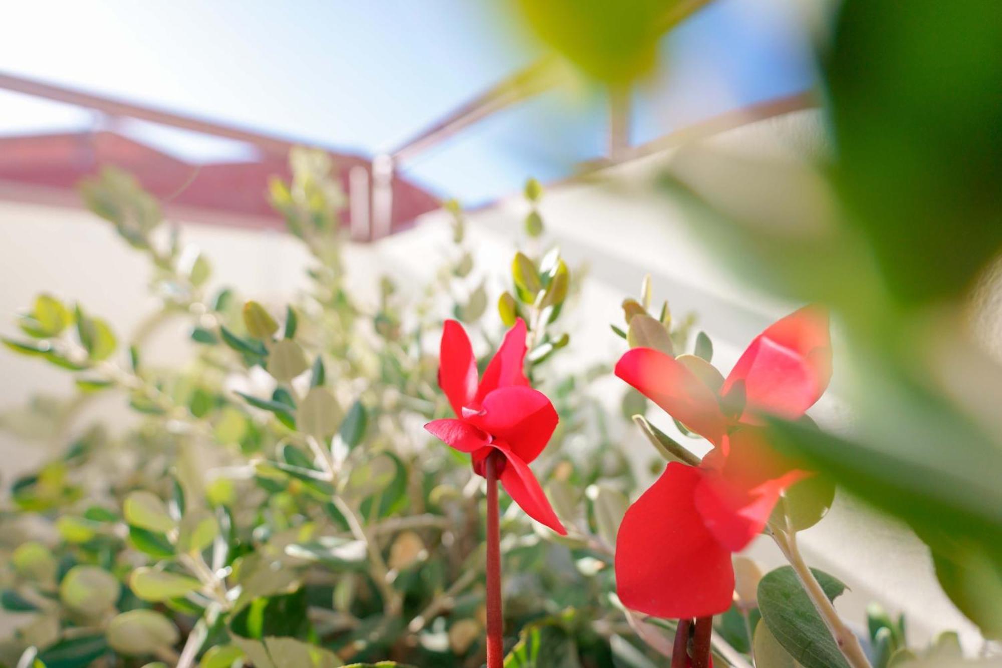 San Sperate Guest House Deidda - Ts Rooms B&B المظهر الخارجي الصورة